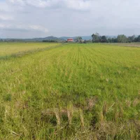 زمین کشاورزی سنددار