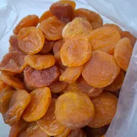 محصولات خشکبار