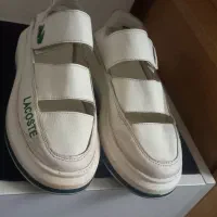 تعدادی لوازم فروشی|ظروف سرو و پذیرایی|گرگان, |دیوار