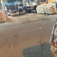 اجاره ۳ دنگ حجره|اجارهٔ مغازه و غرفه|تهران, میدان میوه و تره‌بار مرکزی|دیوار