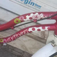 دوچرخه دخترانه ویوا|دوچرخه، اسکیت، اسکوتر|یزد, |دیوار