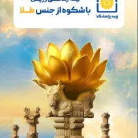 همکار در سمت کارشناس شرکت پاسارگاد
