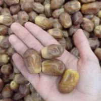 خرمای زاهدی|خوردنی و آشامیدنی|تهران, ایران|دیوار