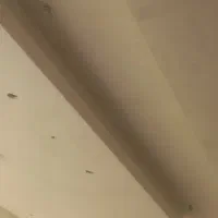 گچ کاری|استخدام معماری، عمران و ساختمانی|قرچک, باقرآباد|دیوار