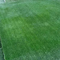 چمن کارکرده|گل مصنوعی|ری, سیزده آبان|دیوار