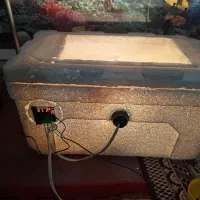 دستگاه جوجه کشی