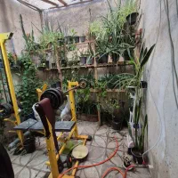 125متر در ویلایی شمالی/    در مرکز محمد آباد