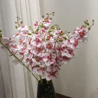 شاخه گل سوپر ارکیده فوق کیوت