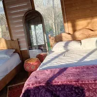 اقامتگاهی-چوبی-که-جنگل-و-رود-دورش-دیوار-کشیدن