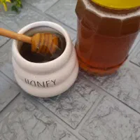 عسل کنار(کندو)