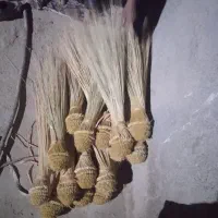 جارو دستی|لوازم نظافت|هیرمند, |دیوار