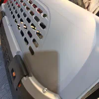 پامر|سگ|تبریز, |دیوار