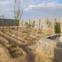 480متری (ازیران) قیمت بینظیر