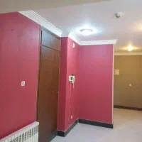 رنگ آمیزی ساختمان وابزار آلات