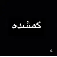 کارت گمشد به نام ارمین