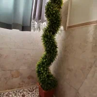 درخت چه|گل مصنوعی|اندیشه, اندیشه فاز ۳|دیوار