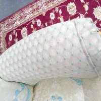 مبل شویی
