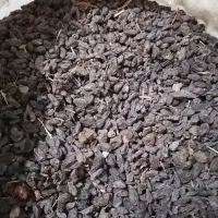 کشمش افتابی|خوردنی و آشامیدنی|یزد, |دیوار