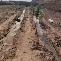 خانه باغ|فروش دفتر صنعتی، کشاورزی، تجاری|کاشان, شهرک صنعتی راوند|دیوار