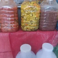 سیب زمینی 25|حراج|چناران, |دیوار