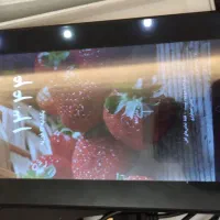 تبلت