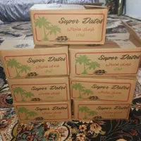 خرما شاهانی|حراج|فسا, |دیوار