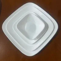 سرویس غذا خوری کورل آمریکایی