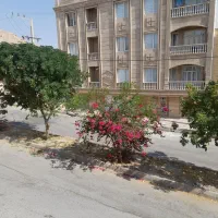 جویای کار هستم
