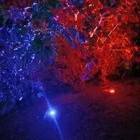 باغ ویلایی و باغ شهری|فروش خانه و ویلا|ارژن, |دیوار