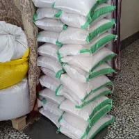 فروش برنج هاشمی|خوردنی و آشامیدنی|رودبنه, |دیوار