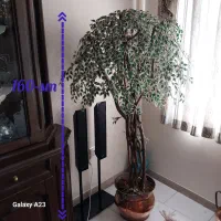 درختچه آپارتمانی (۱۶۰ سانتی)|گل مصنوعی|تهران, نارمک جنوبی|دیوار