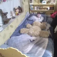 تختخواب یک نفره