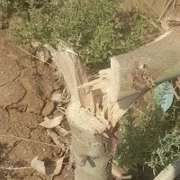 مژدگانی150میلیونی(عقیلی،شهرک شهید محمدی(ظلم آباد)