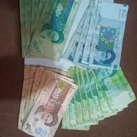سکه واسکناس