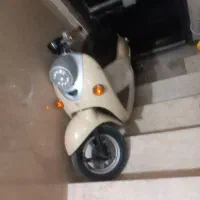 پاکشتی وینو