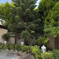 رویان باغ ویلا۳۷۰زمین بنا۱۳۰سندتکبرگ عرصه واعیان|فروش خانه و ویلا|رویان, |دیوار