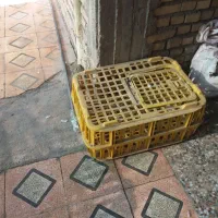 دوعدد قفسه مرغ یکیش نوهست ویکیش درحد نو دربراش