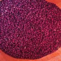 لوبیا چیتی و لوبیا قرمز|عمده‌فروشی|نظر کهریزی, |دیوار