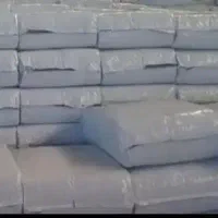 ذرت علوفه ای دزفول