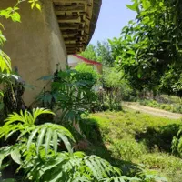 زمین ۳۳۵ متری مسکونی دارای پروانه و ملک کلنگی|فروش زمین و ملک کلنگی|لاهیجان, آهندان|دیوار