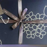 روتختی رجینا|سرویس روتختی|تهران, شادمان|دیوار