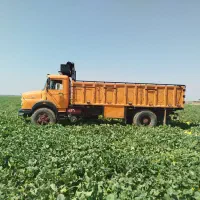 تک بنز باری