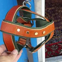 قلاده سگ سفارشی دست دوز