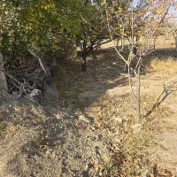 زمین ۳۷۰۰متر برجاده تبریز شبستر ویلایی تجاری صنعتی|فروش زمین و ملک کلنگی|شبستر, |دیوار