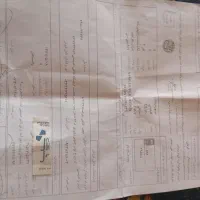 کلیک نیوفیسNMS|موتورسیکلت|رفسنجان, |دیوار