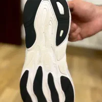 کتونی نیوبالانس|کیف، کفش، کمربند|رشت, سیا اسطلخ|دیوار