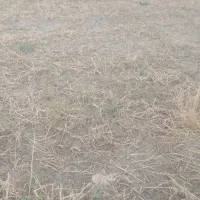 زمین 500متری داخل بافت با امتیازات کامل