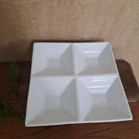 ظرف پذیرایی و اردور خوری نو