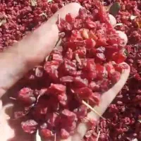 زرشک خشک فروشی|خوردنی و آشامیدنی|درمیان, |دیوار