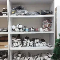 قفسه و رگال
